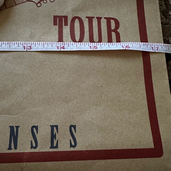 Authentic True Religion paper large shopping bag 17x19 - Picture 2 of 5